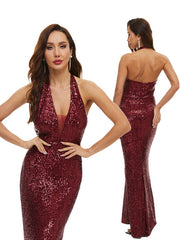 Evening Wrap Sleeveless Backless Embroidered V-Neck Maxi Dress