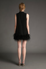 Black Sleeveless Mock Neck Feather-Trimmed Mini Dress