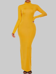 Bodycon Long Sleeves Solid Color High Neck Maxi Dresses