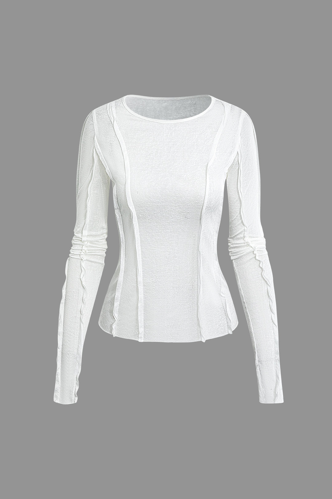 Sheer Pleated Detail Long Sleeve Top