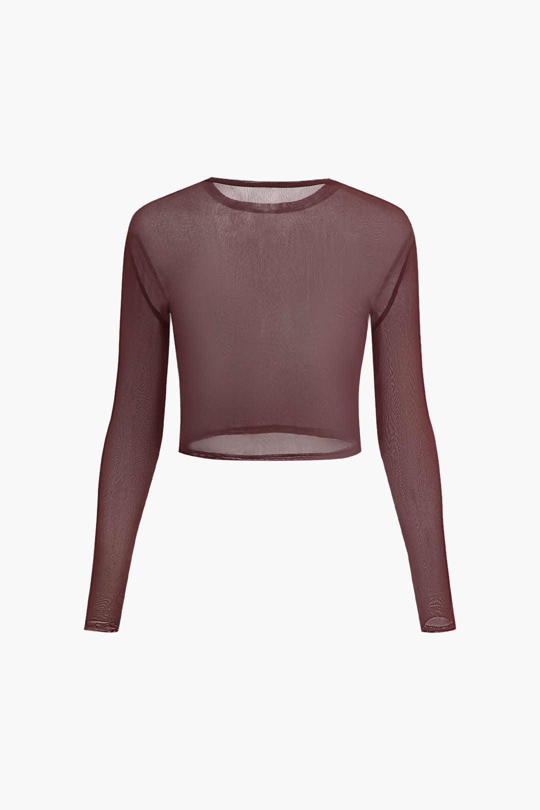 Sheer Mesh Round Neck Long Sleeve Crop Top