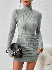 Bodycon High Waisted Solid Color High Neck Mini Dresses