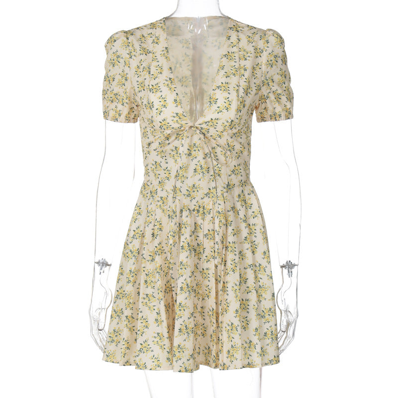 Sexy Deep V Neck Women's Dresses 2025 Summer Fashion A-line Dress Female High Waist Pleated Printed Beach Party DressesChristmas Gifts