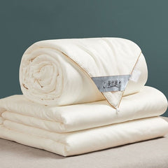 Nordic Natural Mulberry Luxury Silk Comforter Duvet Twin Queen King Full Size Cotton Blanket Quilt Couple Bedding In Filler